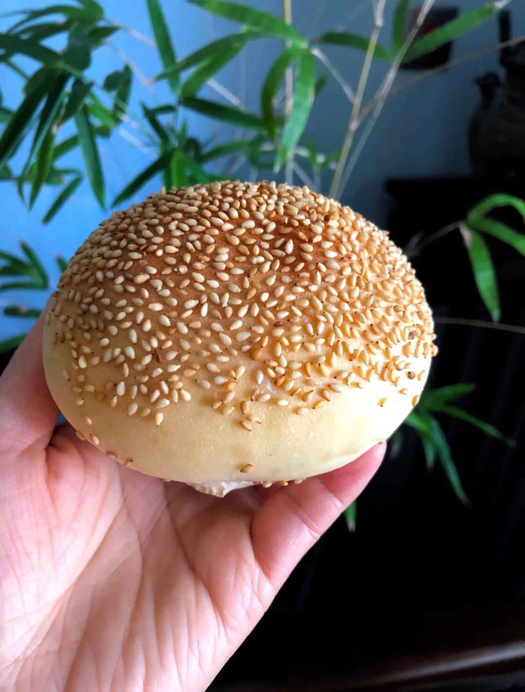 万能快手汉堡胚（一次发酵，新手一次成功）的做法