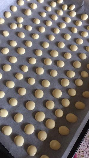 蛋黄小奶豆的做法 步骤7