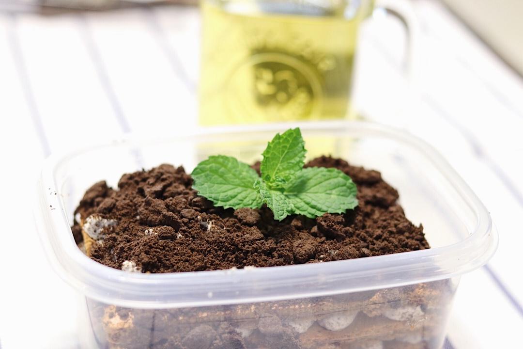 低糖不腻的奥利奥咸奶油蛋糕盒子