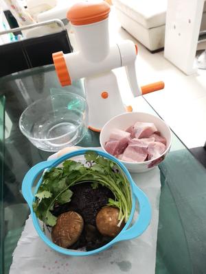 紫菜猪肉小馄饨饺子的做法 步骤1