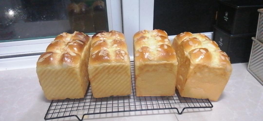 最好吃的牛奶吐司妃娟的100%中种北海道牛奶吐司奶油吐司