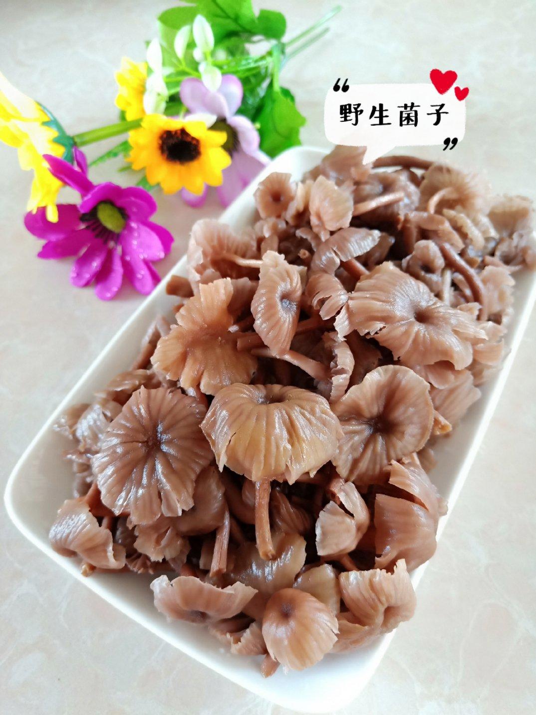 快到云南吃菌子——一窝菌烧豆腐