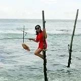 手机用户0749_zmqg