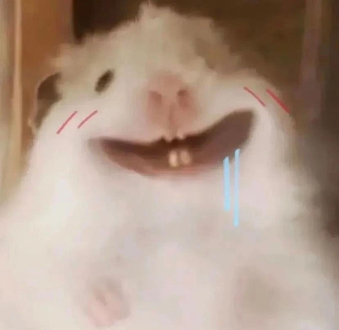 今天吃什么捏啊