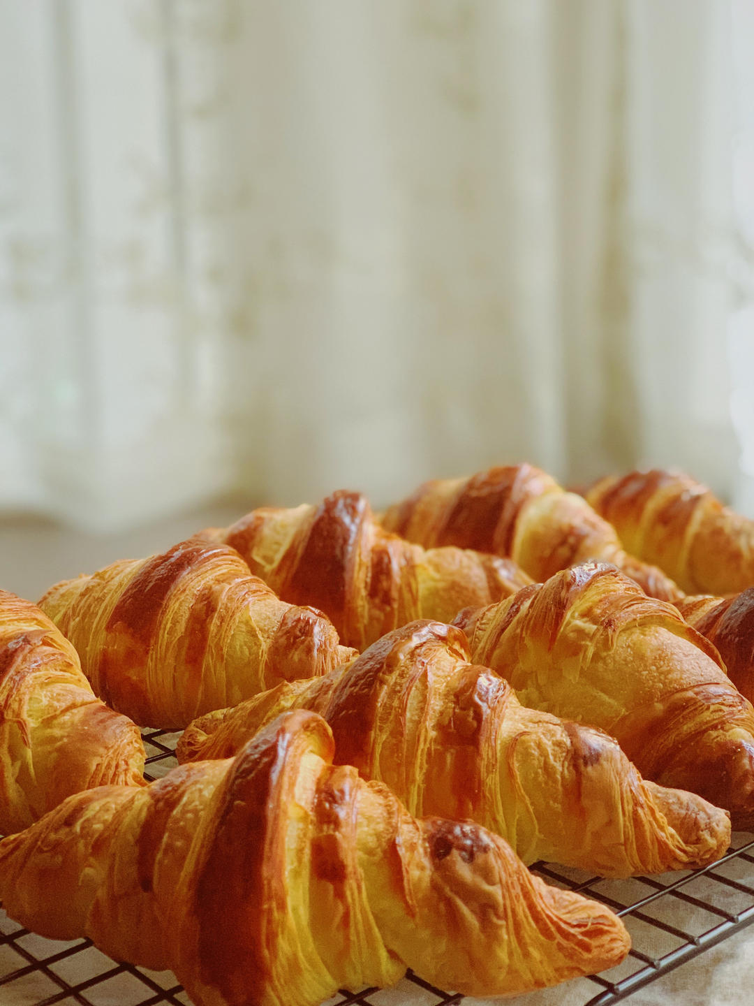 用总统黄油做出好看蜂巢的可颂（332法）2020年修改版