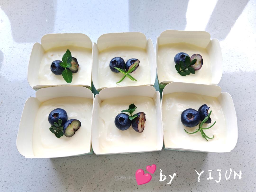 酸奶冻芝士蛋糕【曼食慢语】