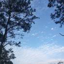 手机用户6522_djat