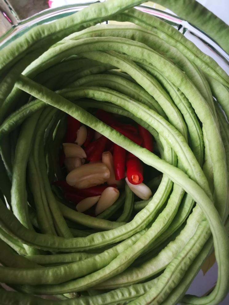 老一辈泡制法—酸豆角(泡豇豆/腌豆角)的做法 步骤3