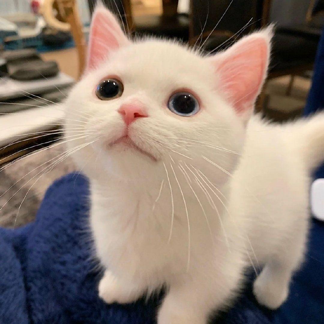 独自走在大街上