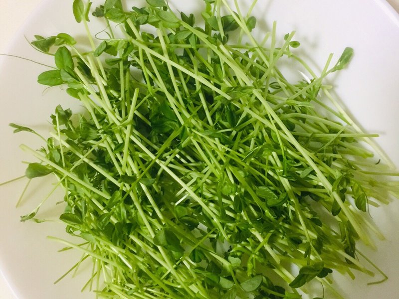 步骤图 豆苗蛋花汤的做法 豆苗蛋花汤的做法步骤 菜谱 下厨房 步骤图 豆苗蛋花汤的做法 豆苗蛋花汤的做法步骤 菜谱 下厨房