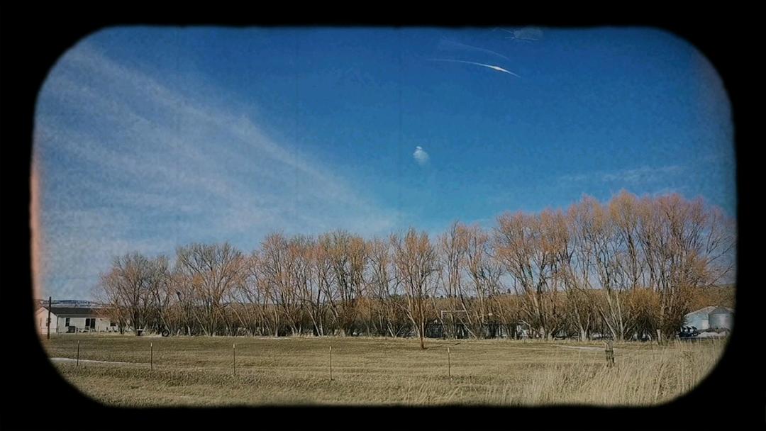 My life，healthy food， daily and more//Diary