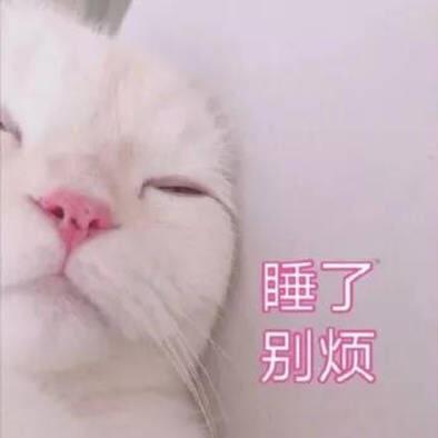 冷冷很睏