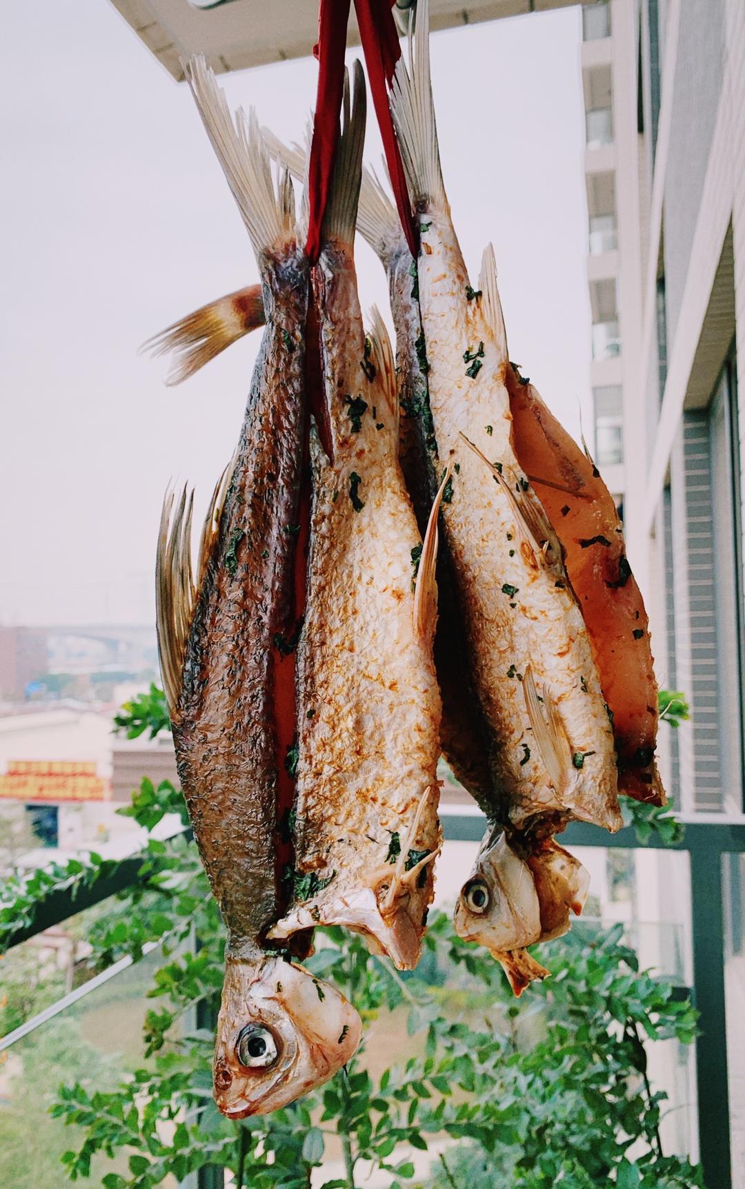 生晒鱼干（鲮鱼）的做法