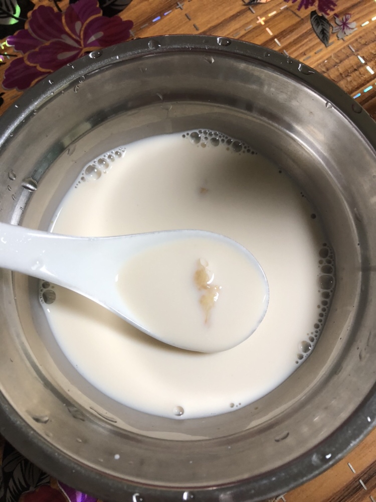 花胶炖牛奶的做法