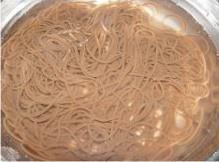 酸辣厥根粉的做法 步骤2