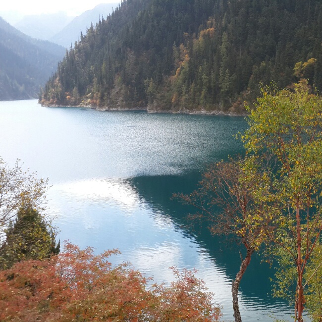 旅行与美食之----九寨黄龙峨眉乐山成都