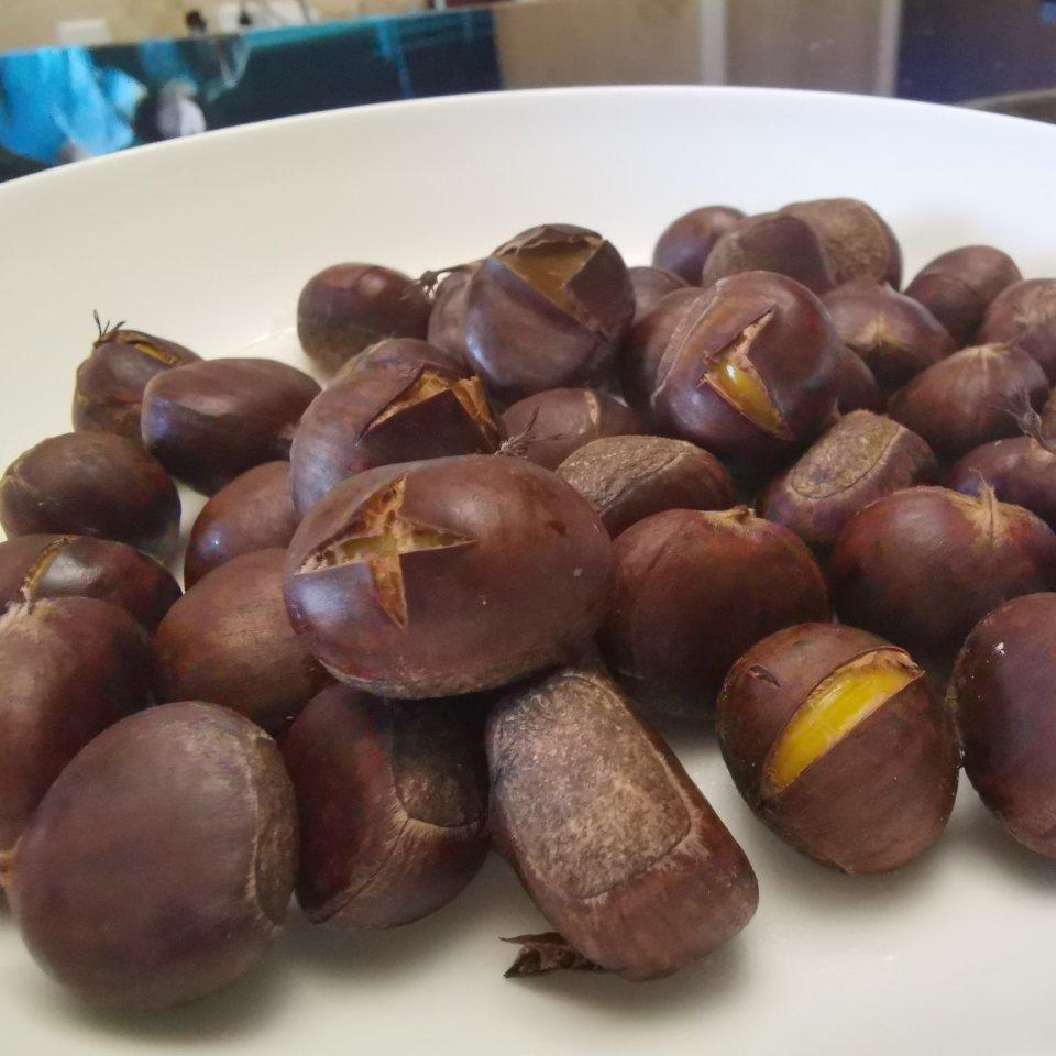 煮栗子🌰