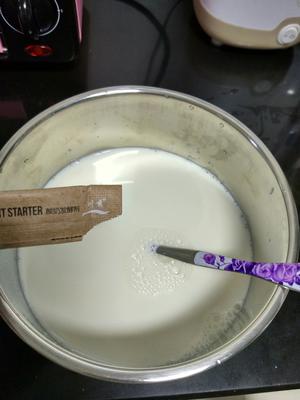 自制原味酸奶的做法 步骤3