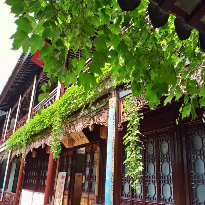 云游四海发发仙