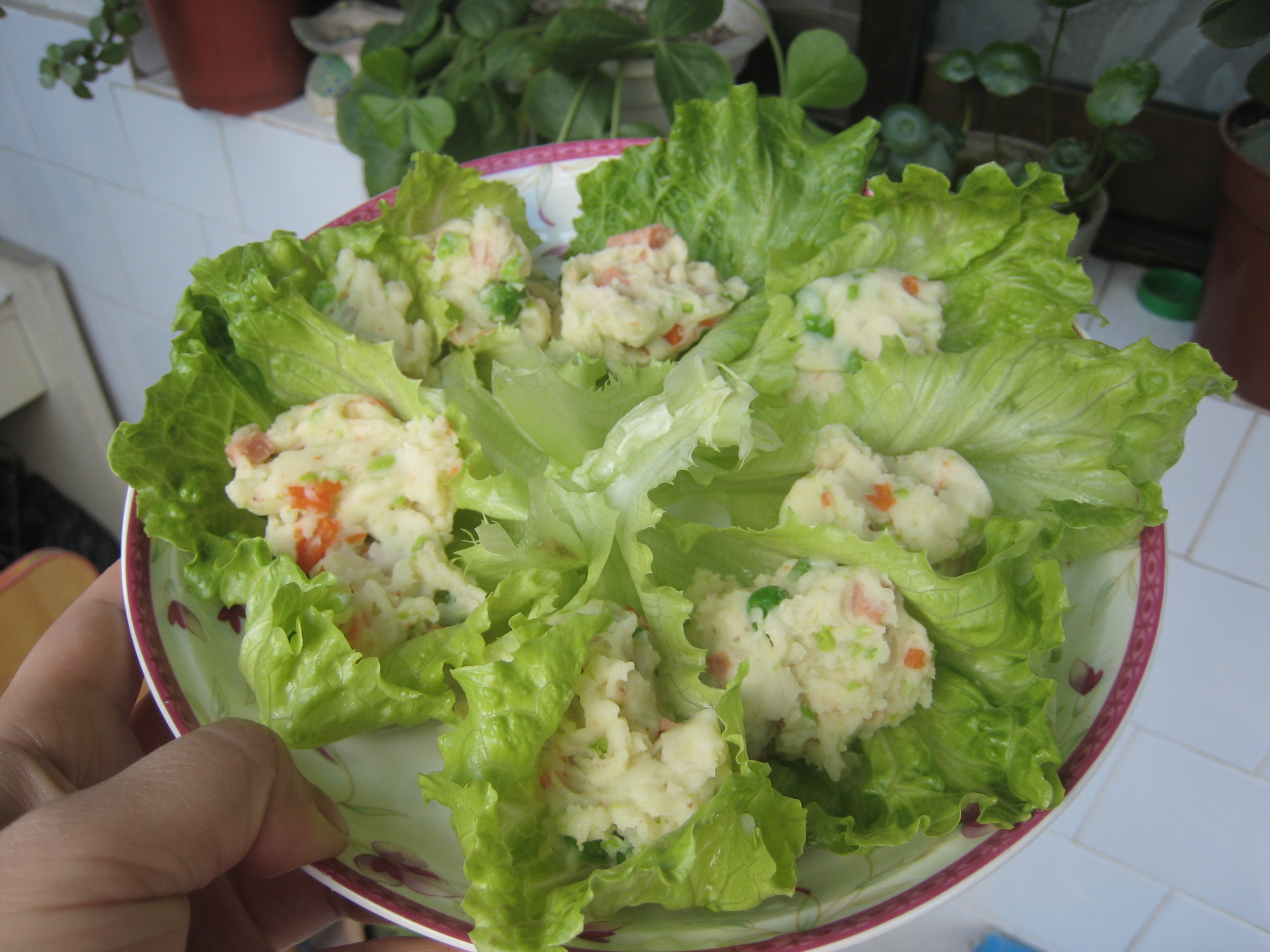 夺命土豆泥