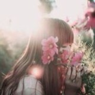 Daisy沁月