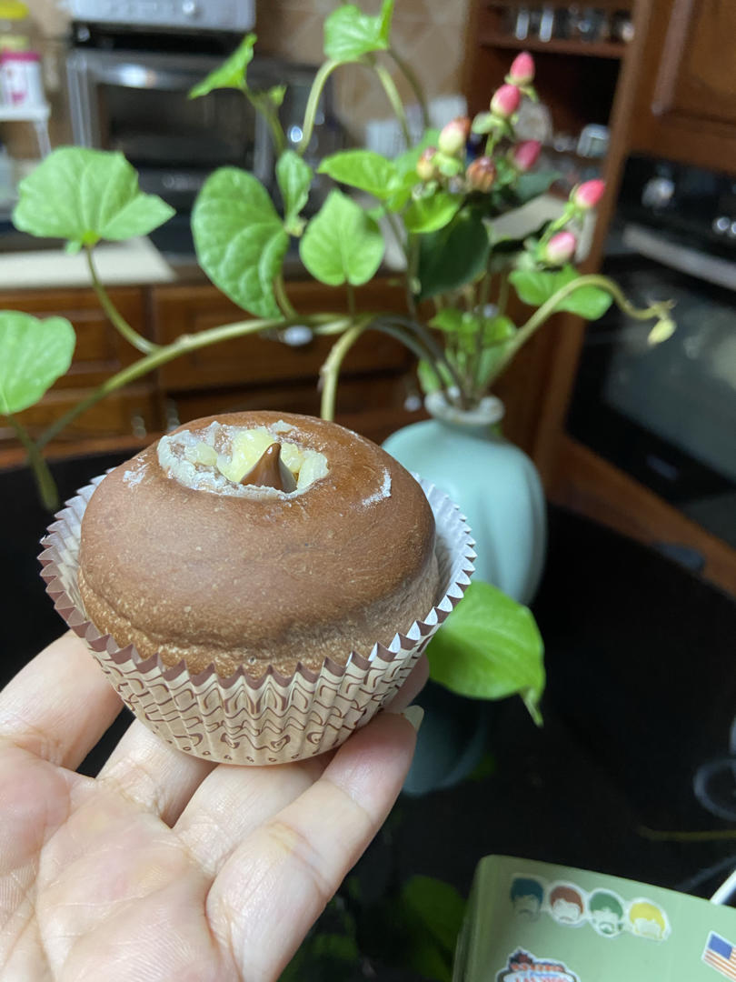 香浓巧克力（乳酪）吐司｜烫种+鲁邦种或老面