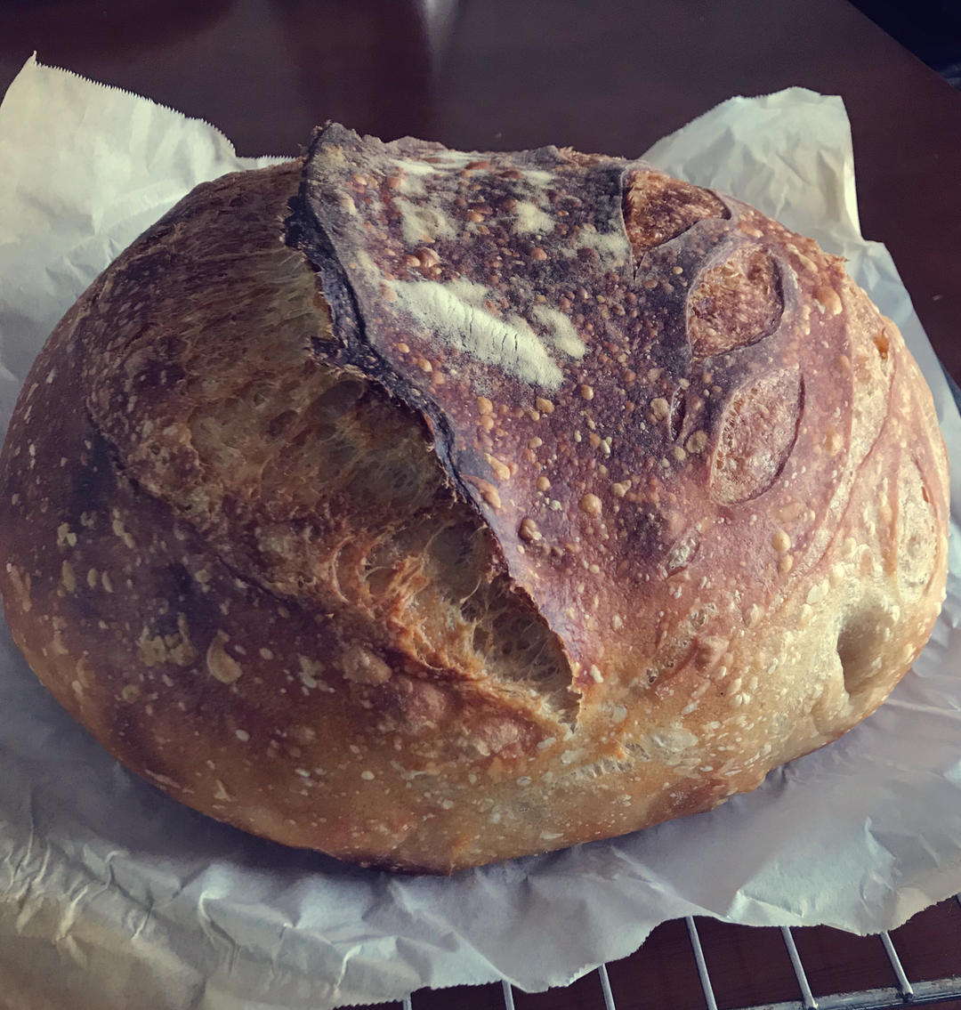 【Ken Forkish】天然酵种轻全麦核桃欧包