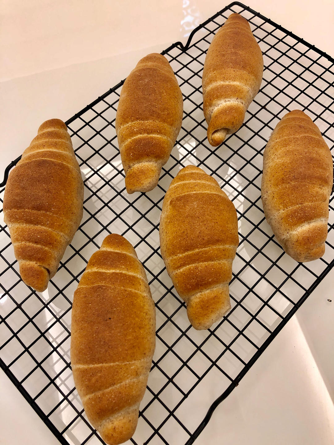 原味/全麦盐面包🥐外脆内软纯粹麦香🌾