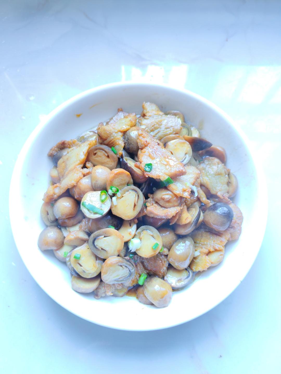 味好美香辛料～春天的美味草菇炒肉片