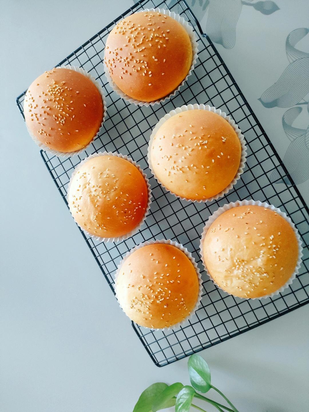 波兰种汉堡面包🍔