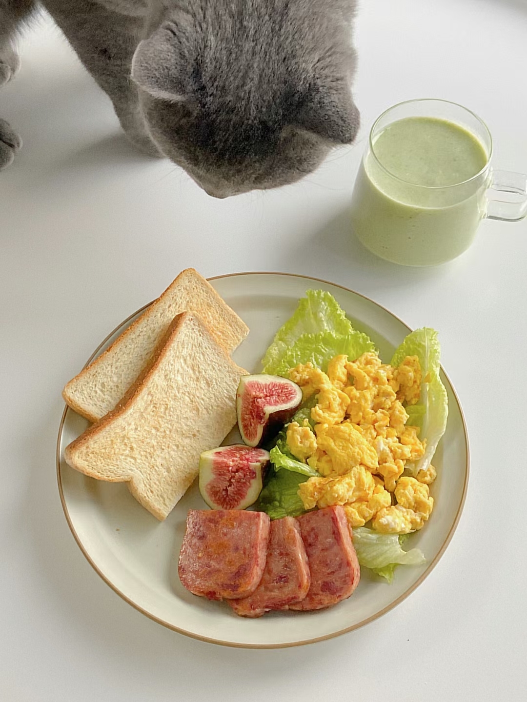 快手健康减脂轻食沙拉吐司早午营养餐的做法 步骤98