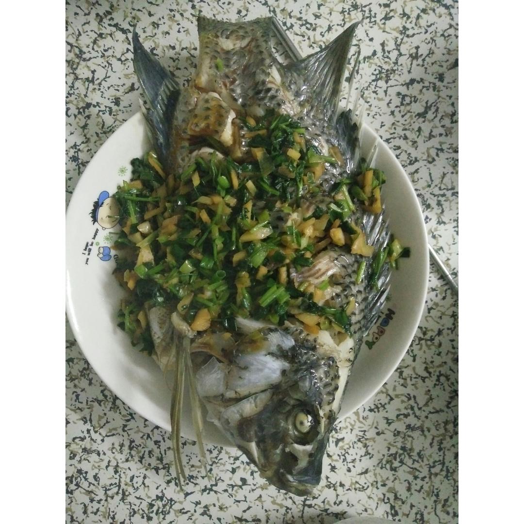 清蒸罗非鱼