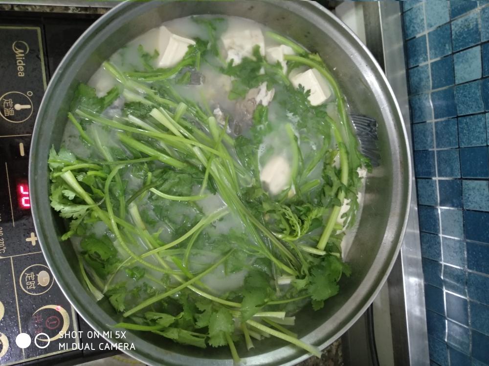 鲗鱼芫茜豆腐汤