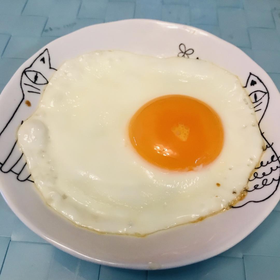 【熊记】太阳蛋