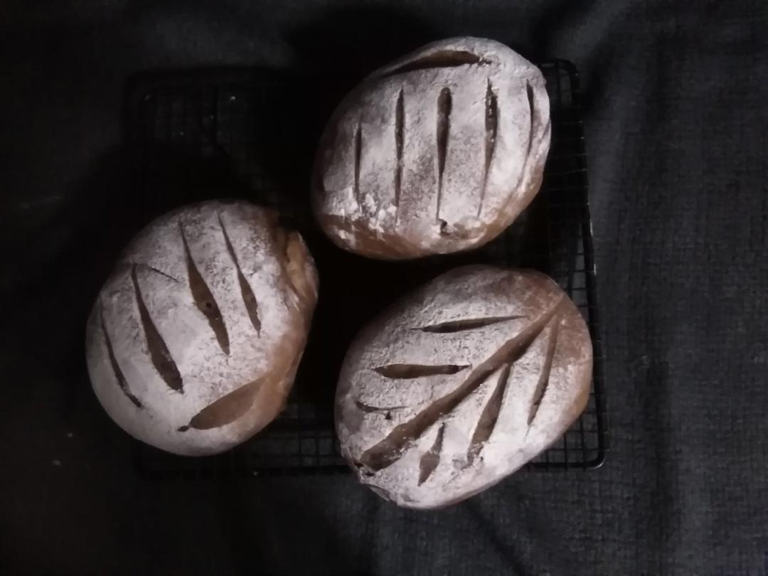 橄榄油版麻薯包
冷藏发酵~超级快手，更适合上班族