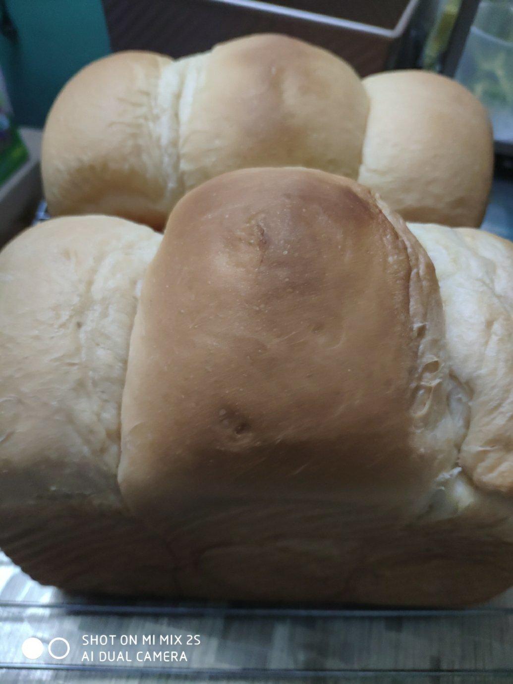 淡奶油吐司--冷藏中种法