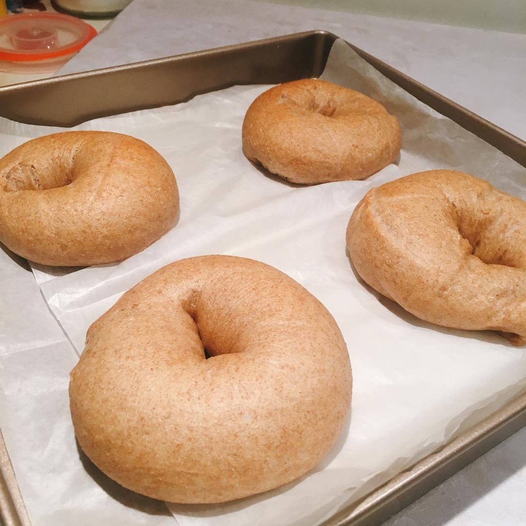 全麦贝果波兰种 50%全麦 更适合粗麸的配方