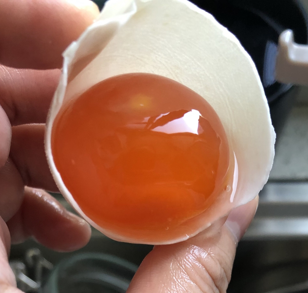 100%出油，原来流油的咸鸭蛋是这样做的——自制咸鸭蛋（多动图，孔瑶的食谱）