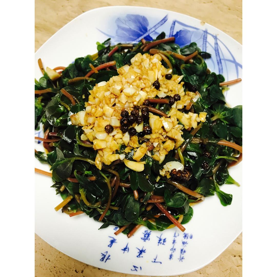凉拌马马菜（凉拌马齿苋）