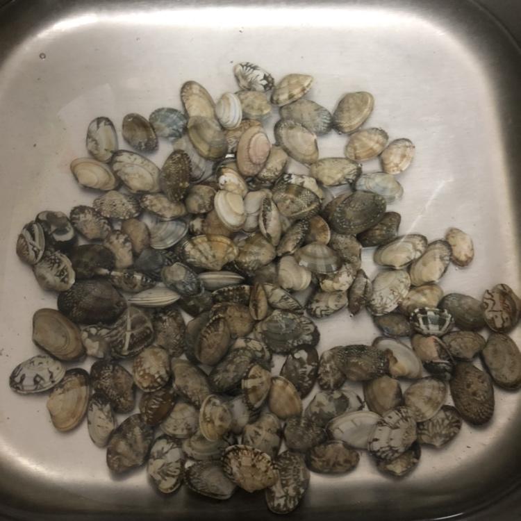 爆炒花甲