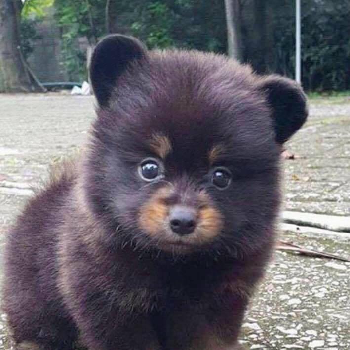 花酱厨娘的厨房