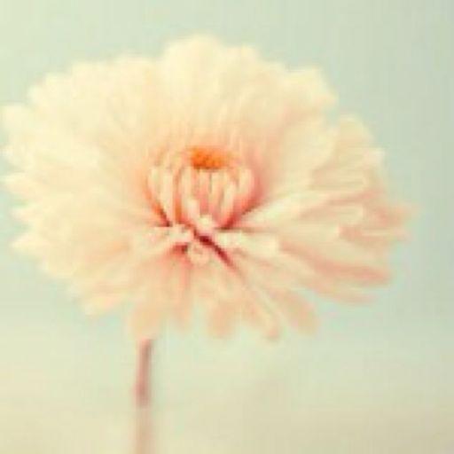 Ice_spring_