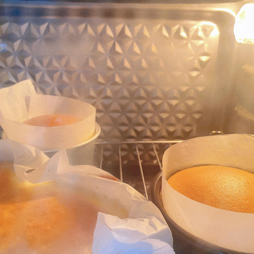 🧀️乳酪蛋糕🍰