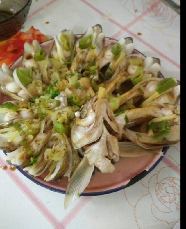 孔雀开屏鱼
