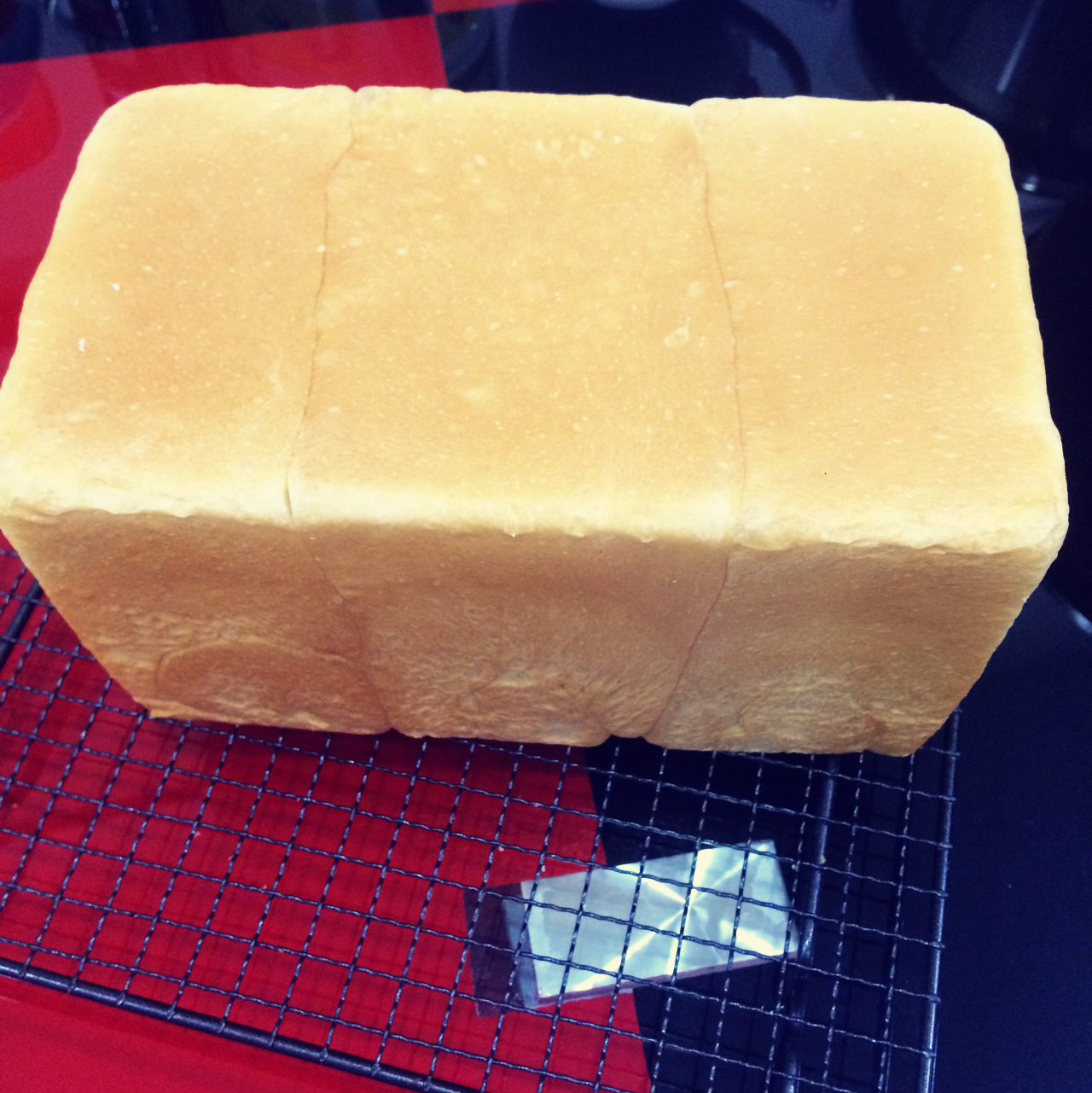 基础面包制作 Basic Bread (Loaf&Roll)