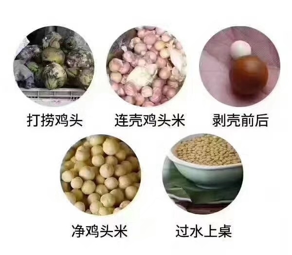 鸡头米的各种吃法的做法 步骤10