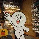 Kygo的迷妹
