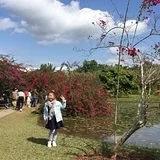 花信风三三
