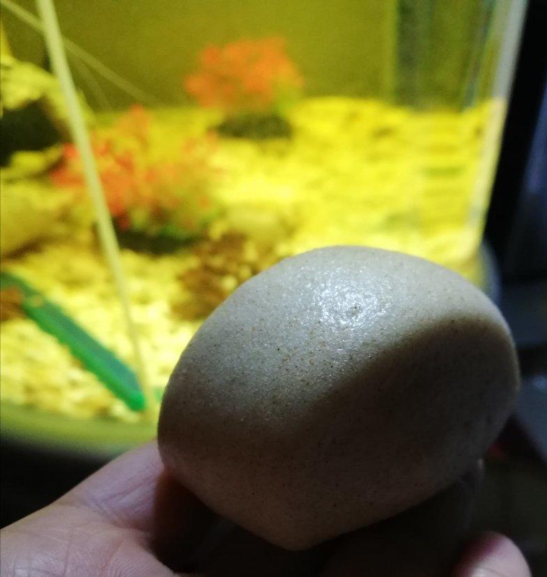 可以珍藏的一次发酵松软椰香全麦馒头