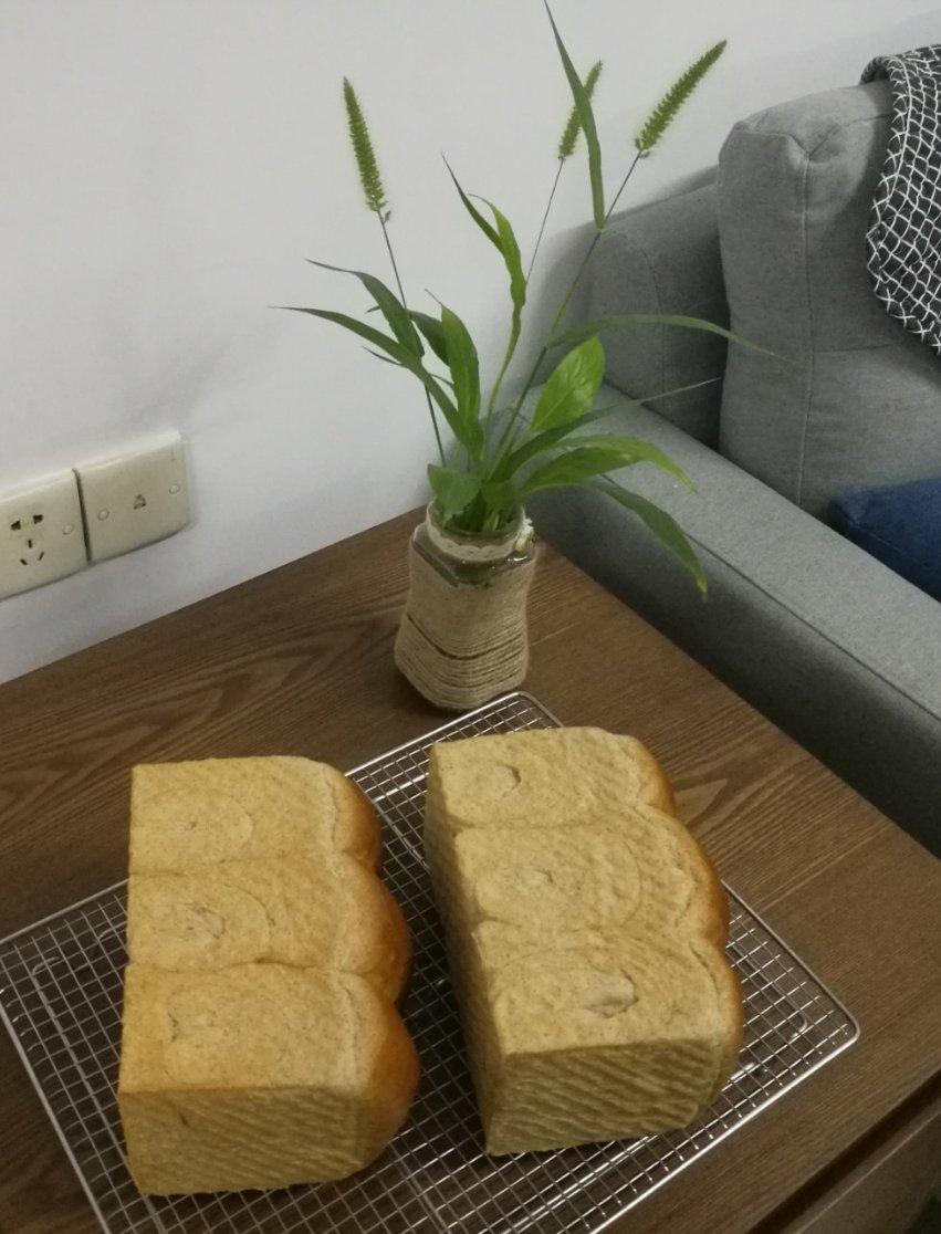 全麦吐司